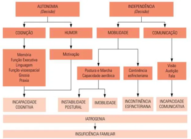 Figura 5. Grandes síndromes da geriatria   Fonte: Moraes et al. (2010, p. 55) 