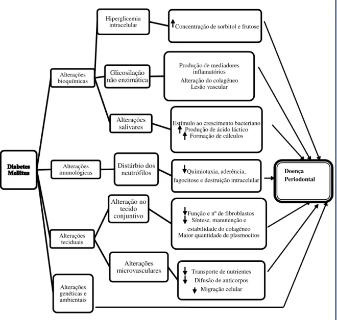 Figura 7  –  Principais mecanismos patogénicos da Doença Periodontal associada à  Diabetes Mellitus  (Alves, 2007)