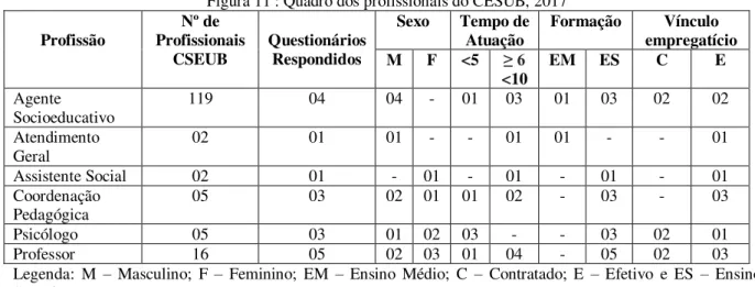 Figura 11 : Quadro dos profissionais do CESUB, 2017  Profissão  Nº de 