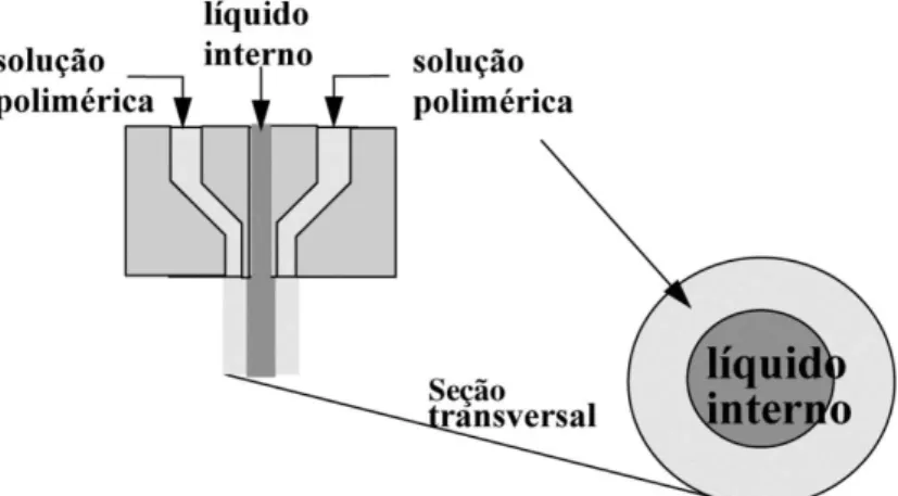 Figura  5:  Esquema  de  uma  extrusora  para  a  produção  de  membranas  na  forma  de  fibra  oca  ou  capilares