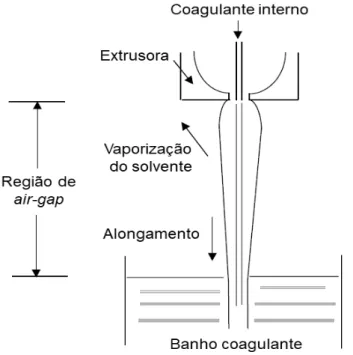 Figura 8: Representação esquemática de um processo de extrusão de membranas do tipo fibra oca
