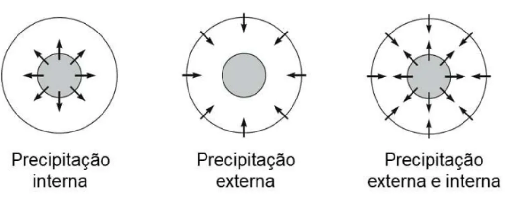 Figura 9: Esquema demonstrando os processos de precipitação interna, externa e externa e interna  ao mesmo tempo