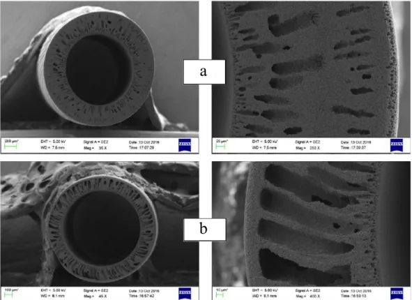 Figura 11: Imagens obtidas por MEV da seção transversal e da parede das membranas de alumina  do tipo fibra oca produzidas por García-Fernández et al