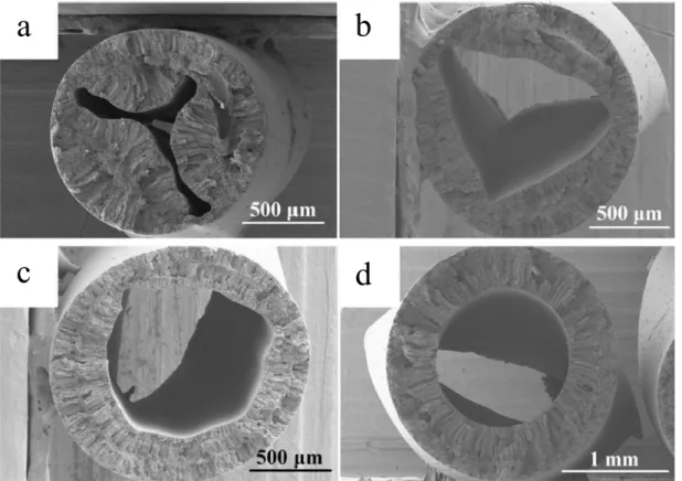 Figura 12: Imagens por MEV das membranas do tipo fibra oca produzidas por Li et al. (2016) com  diferentes vazões para o líquido coagulante interno: (a) 5 mL min -1  , (b) 10 mL min -1  , (c) 15 mL min -1   e (d)  20 mL min -1 