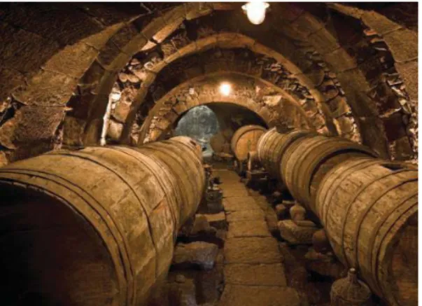 Figure 1. Winery (wine cellar). 