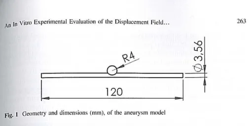 Fig.  1  Geometry  and  dimensions  (mm),  of the  aneurysm  model 
