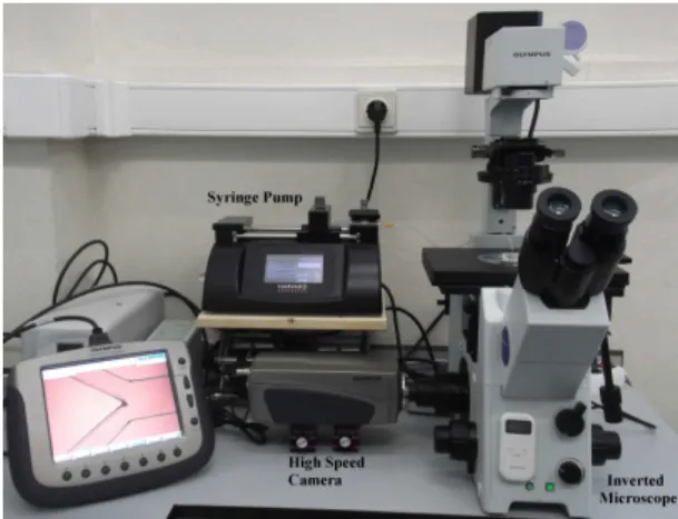 Figure 1: High-speed video microscopy system used in this staudy.