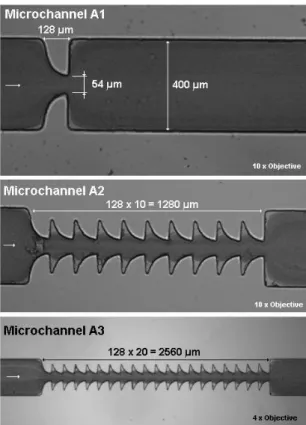 Figure 1 and 2 shows the main dimensions of the microchannels with a of 2 (A1, A2 and A3)  and of 3 (B1, B2 and B3), respectively
