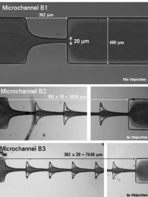 Figure  3  shows  the  main  dimensions  of  a  microfluidic  device  having  a  single  hyperbolic  contraction with a of 3.6 (C1) and 4.2 (D1)