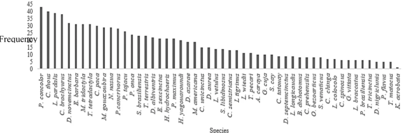 Figure 3. Distribution of frequencies of occurrence of the species evaluated.  The  black bars represent the frequency related to each specie