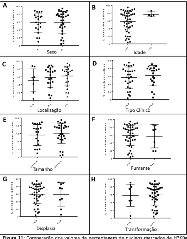 Figura 11: Comparação  dos  valores  de  percentagem  de núcleos  marcados  de  H3K9ac  nos  casos  de leucoplasia  para  as diferentes  variáveis  sociodemográficas  e  clinicopatológicas analisadas  (A) Sexo (teste t de  Student,  p  =  0,91);  (B) Idade