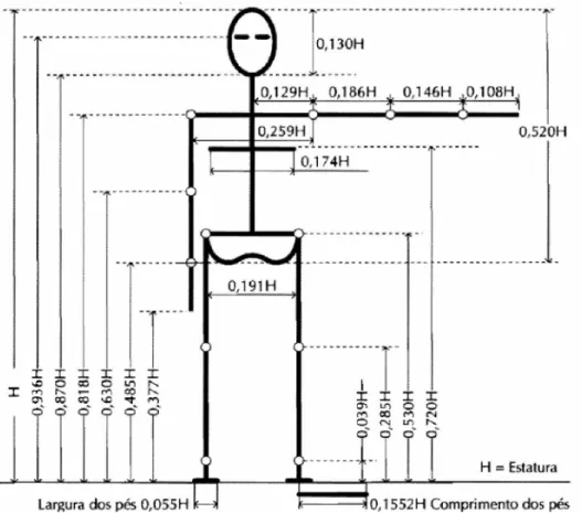 Figura  5.10  - Estimativas de  comprimento  das  partes  do  corpo  em pé, em  função  da  estatura H  (Contini  e  Drillis, 1966 - retirado  de IIDA,  2005).