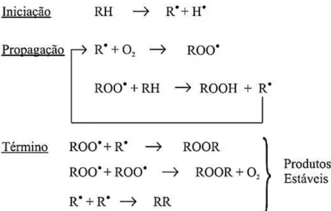 Figura 1 - Esquema geral de mecanismo de oxidação.