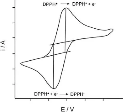 Figura 7 – Voltamograma cíclico típico do DPPH. 