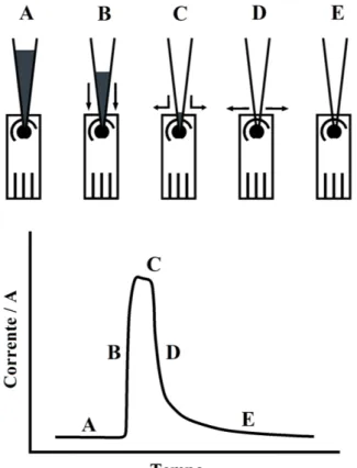 Figura 10 – Etapas de operação de um sistema BIA e o amperograma resultante: (A) Antes da  injeção; (B) Transporte; (C) Fim da injeção; (D) Dispersão; (E) Equilíbrio final