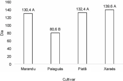 Figura  3  -  Duração  de vida da  folha  de cultivares de  Brachiaria  brizantha durante a fase  final do período de diferimento.