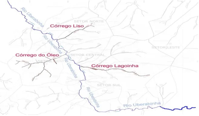Figura  2.  Afluentes  urbanos  do  rio  Uberabinha  na  cidade  de  Uberlândia-MG  avaliados no presente estudo: Córrego Lagoinha, Córrego do Óleo e Córrego Liso