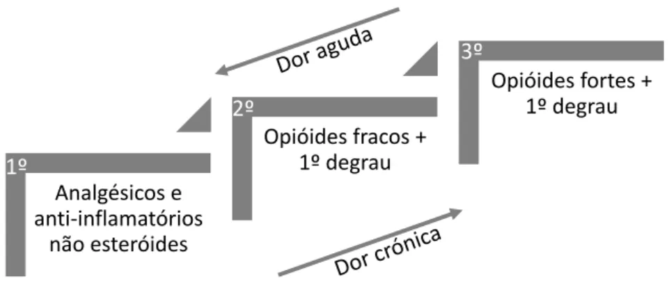 Figura  2 –  Escala  analgésica  da  dor segundo  a  OMS  (Adaptado de:  Organización Mundial de  la  Salud  (1996)) 