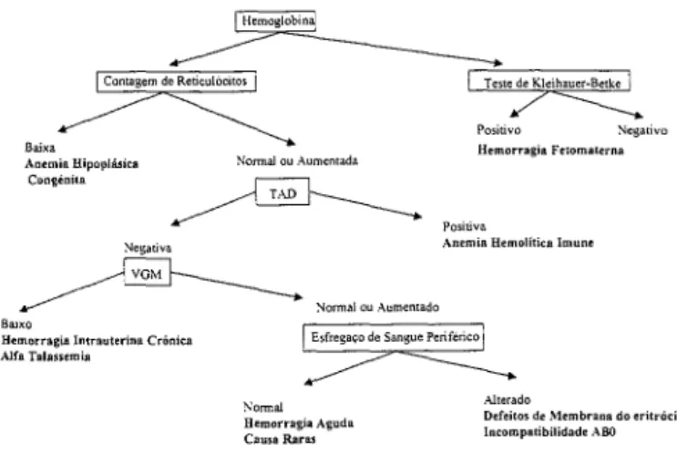 FIG.  2- Protocolo  de  abordagem  de  anemia  neonatal  (adaptado  da  referencia  17 )