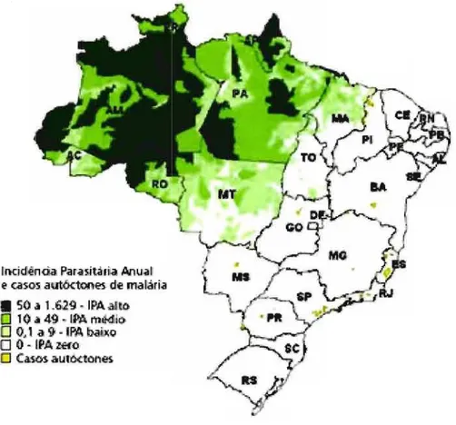 Figura  3  - Mapa de risco de transmissão da malária no  Brasil, 2007. 