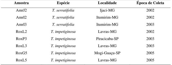 Tabela 2.1- Caracterização das amostras de sementes ipê-amarelo (Tabebuia serratifolia) e ipê- ipê-roxo (T