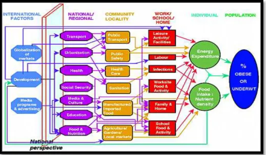 Figura 4. Rede causal de influências da sociedade na etiologia e prevalência da obesidade (23)