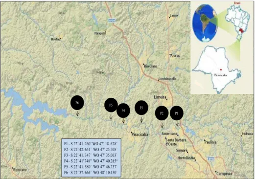 Figura 1 - Locais de amostragens de água no rio Piracicaba 