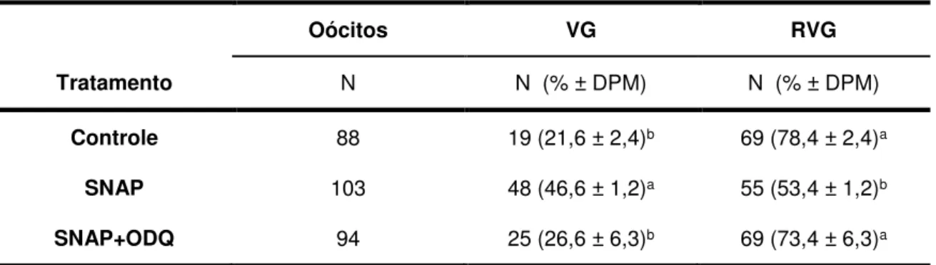 Tabela  1:  Proporção  de  oócitos  bovinos  maturados  in  vitro  que  permaneceram  imaturos  (VG)  e  que  apresentaram  a  retomada  da  meiose  identificada  pelo  rompimento  da  vesícula germinativa (RVG) após 9 h de cultivo