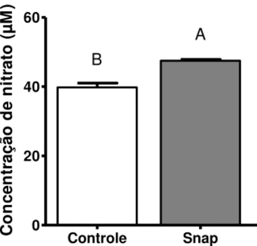 Figura 5. Concentrações de nitrato produzidos por CCOs bovinos maturados in vitro  durante  9  horas  sem  (controle)  ou  com  o  doador  de  óxido  nítrico  SNAP