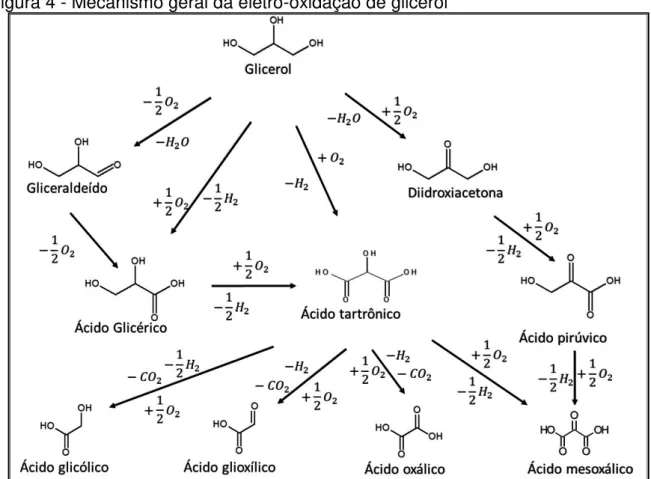 Figura 4 - Mecanismo geral da eletro-oxidação de glicerol 