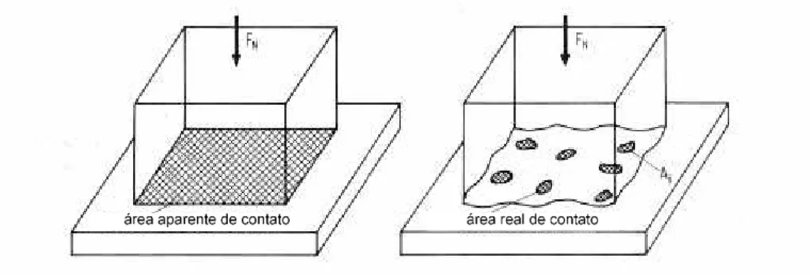 Figura 2-2 Áreas de contato real e aparente. Adaptado de Zum Gahr (1987). 