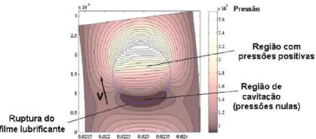 Figura  2-12  Identificação  da  região  de  cavitação  sobre  uma  micro  cavidade  obtida  por  simulação numérica (PROFITO, 2010)