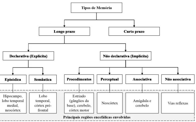 Figura 2: Classificações da memória (modificada de (BARTSCH; BUTLER, 2013)). 