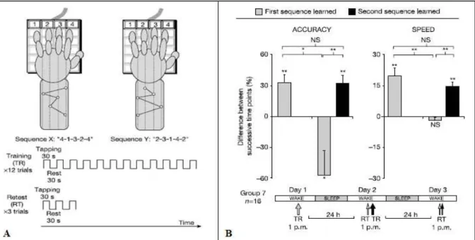 Figura 3: Estudo desenvolvido por Walker et al. (2003). (A) Protocolo experimental de sequência motora de  dedos