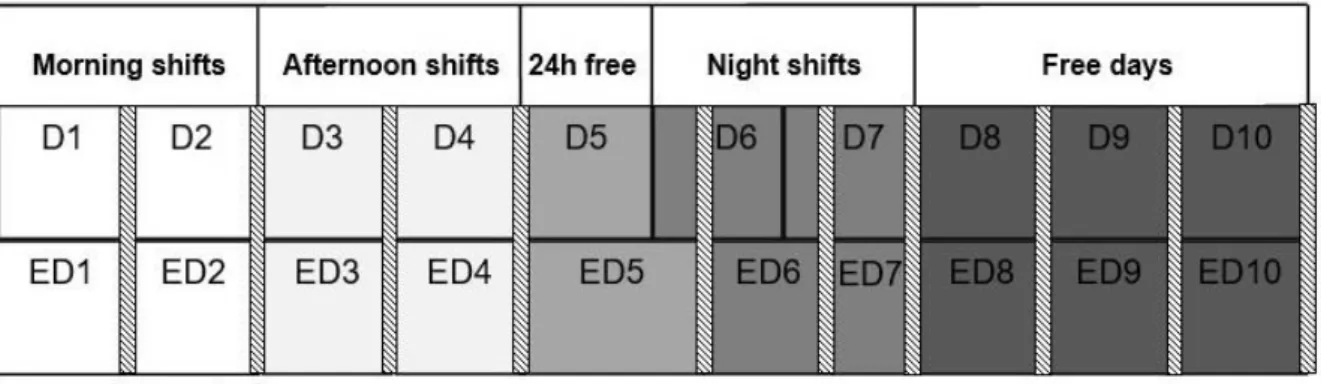 Figure  1  presents  the  ED  periods  according  to  the  shift day  schedule  (D), work period of each shift day, and sleep periods