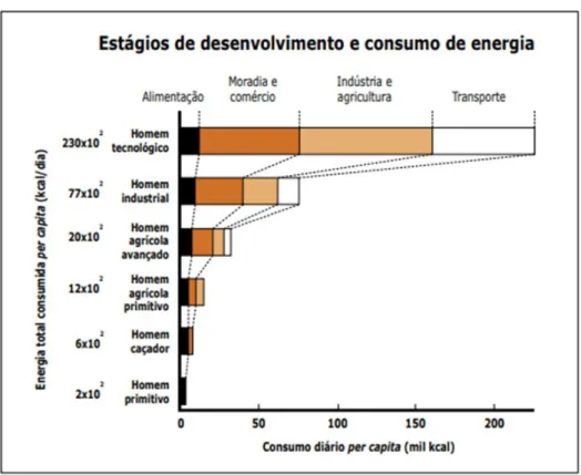 Gráfico 1 - Consumo de energia por estágio 
