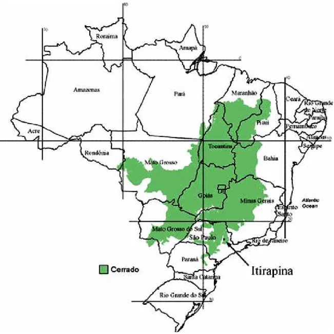Figura 3. Localização do município de Itirapina – SP, onde está a Estação Ecológica  de Itirapina, dentro do domínio do cerrado no Brasil