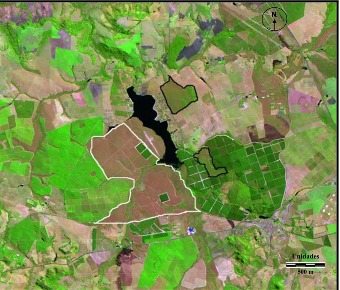 Figura 4. Imagem de satélite da região da Itirapina (LANDSAT/TM) de 1999. A área  delimitada em branco corresponde a Estação Ecológica de Itirapina e os outros  fragmentos de cerrado estão delimitados em preto: aquele ao norte está dentro da  Fazenda São J