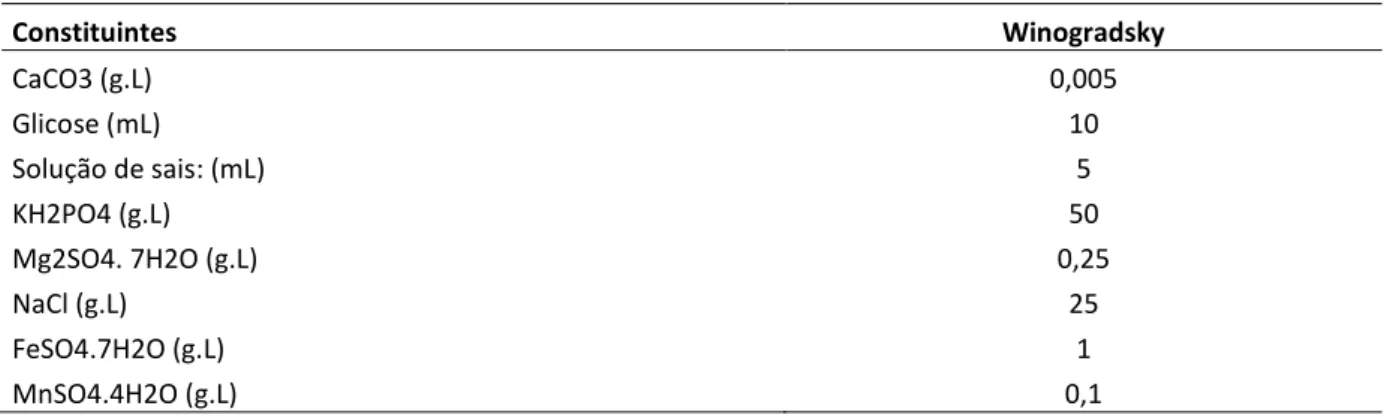 Tabela 2.1 - Meio de cultura livre de nitrogênio: Winogradsky 