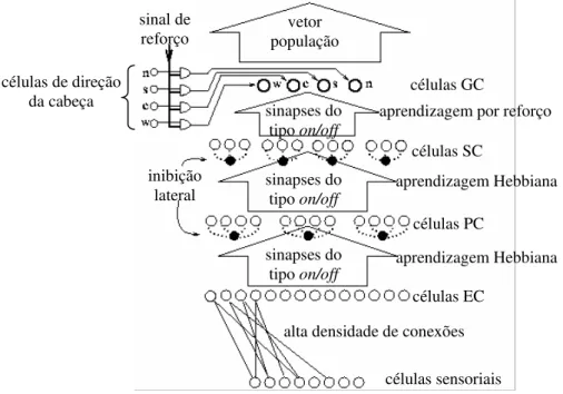 FIGURA 3.5 – Modelo proposto por Burgess et alli (1994) para escolha de ações motoras em uma tarefa de  navegação