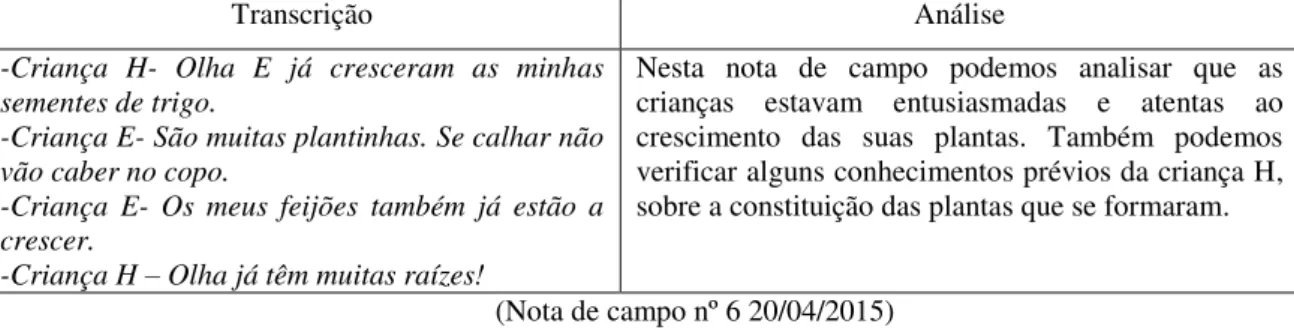 Figura 7- Observação, registos e rega das sementes. 