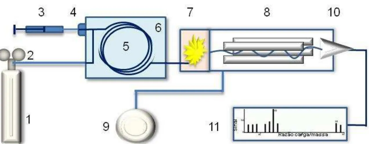 Figura 5 -  Diagrama esquemático do sistema GC-MS. 1- Cilindro com gás de  arraste; 2  –  Ajuste de pressão e vazão; 3  –  Seringa com amostra; 