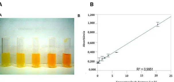 Figura  9  –   Painel  A:  Coloração  da  solução  após  reação  da  acetona  com  o           salicilaldeído