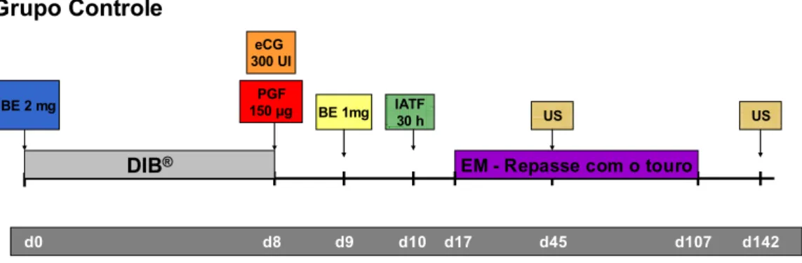 Figura 6 – Protocolos de sincronização e IATF 