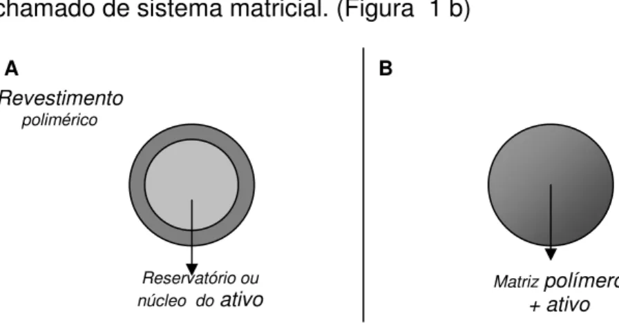 Figura 1. Esquema ilustrativo de micropartículas e microesferas (1A: Microcápsula; 1B: Microesfera)