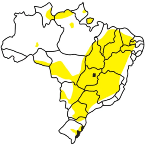 Figura 5: Distribuição da espécie Crotalus durissus no território brasileiro (em amarelo) (BRASIL, 2001)