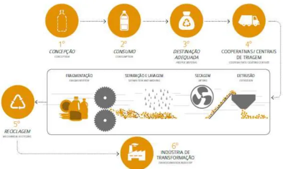 Figura 6 - Cadeia produtiva de reciclagem de plástico 