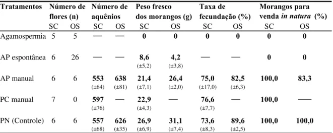 Tabela VIII. Resultados dos experimentos de polinização realizados nos cultivares ‘Sweet  Charlie’ e ‘Oso Grande’, em 1999, em área aberta (campo), no município de Atibaia (SP): 