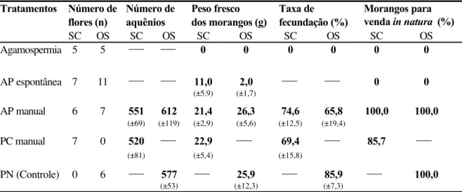 Tabela IX. Resultados dos experimentos de polinização realizados nos cultivares ‘Sweet  Charlie’ e ‘Oso Grande’, em 1999, em área fechada (estufa), no município de Atibaia (SP): 