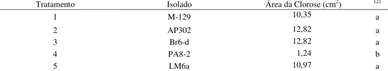 Tabela 11 - Média da área da clorose (cm2) resultante da inoculação de isolados de  Xanthomonas  axonopodis pv